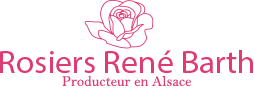 Rosiers René Barth